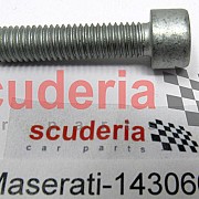 14306634 SCREW