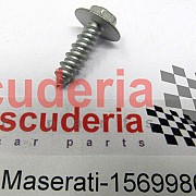 15699804 SCREW