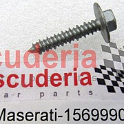 15699904 SCREW