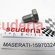 15970324 Screw