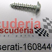 16084401 SCREW