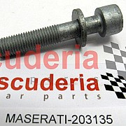 203135 Screw