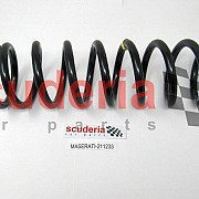 211233 Front Suspension Spring