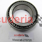 219720 ROLLER BEARING