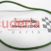 223406 O-RING WATER PUMP