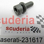 231617 SCREW M6 X 18