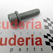 231619 SCREW M6 X 22MM