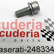 248334 SCREW M6 X 14MM