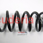 263103 FRONT SUSPENSION SPRING