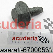 670005314 SCREW