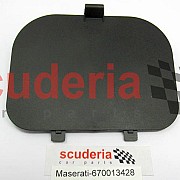 670013428 LH INSPECTION DOOR