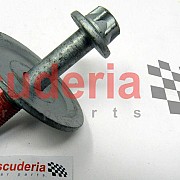 670035567 SPECIAL SCREW