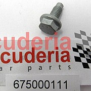675000111 SCREW