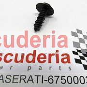 675000354 SCREW