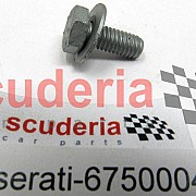 675000435 SCREW