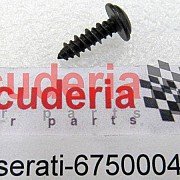 675000466 SCREW