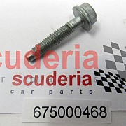 675000468 SCREW