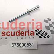 675000531 RIVET