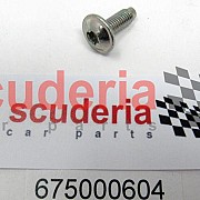 675000604 SCREW