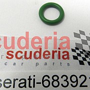 68392100 O-Ring