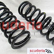 900027816 REAR COUPLE SPRINGS KIT