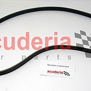 11287631819 Ribbed v-belt