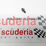 07 12 9906390 ASA screw with washer