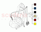 Coloured Seatbelts