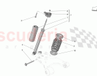 REAR SHOCK ABSORBER DEVICES (06211)