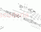 DIFFERENTIAL AND REAR AXLE SHAFTS (Available with: 