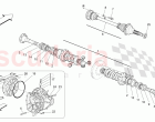DIFFERENTIAL AND REAR AXLE SHAFTS