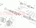 DIFFERENTIAL AND REAR AXLE SHAFTS