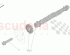 CYLINDER HEAD CAMSHAFTS (01181)