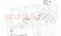 Transmission Harness