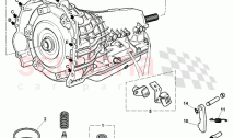 Auto Transmission Seals and Parking Lock