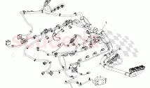 Engine Wiring V8