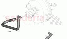 Vacuum Hose, Power Brake