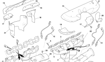 Exhaust Manifolds