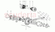 Differential & Axle Shafts