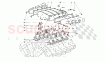 Manifold and throttle bodies