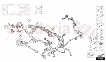SET FOR AXLE WIRING FRONT (972.05.00)