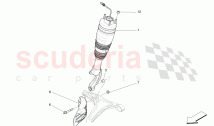 FRONT SHOCK ABSORBER DEVICES (06113)