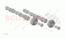 RH CYLINDER HEAD CAMSHAFTS (01221)