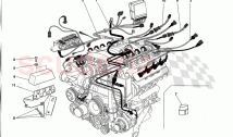 ELECTRICAL SYSTEM: ENGINE HARNESS