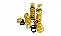 LOWERING SPRINGS