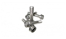 TITANIUM WHEELBOLTS SET (10 PIECES)