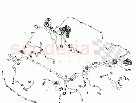 Photo of RHD FORWARD HARNESS AD43 14290…