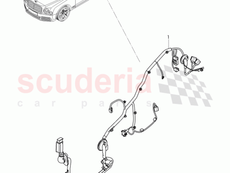 Photo of harness for door D 03 07 2017 3Y4…