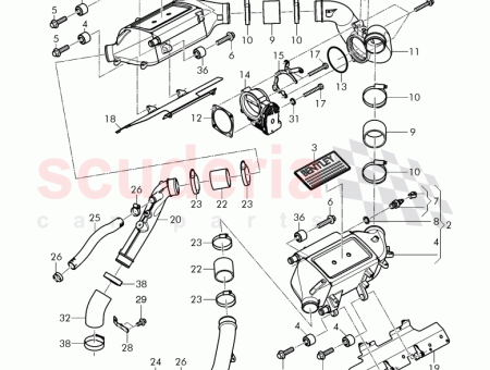 Photo of elbow D 20 03 2017 07V 145 744…