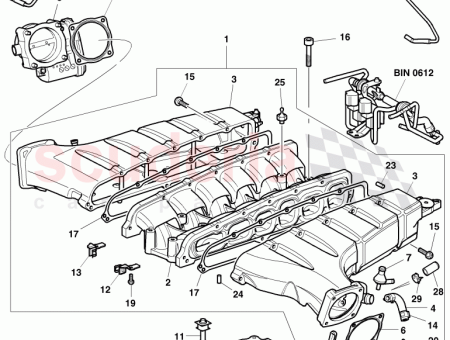 Photo of elbow D 08 03 2004 07C 133 185…